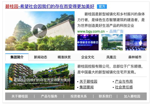 多家房企進(jìn)入黑名單 還有哪些房企能讓老百姓安心買房