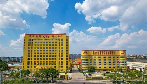 農業企業的時代使命 魯花樣本 助力鄉村振興的實踐探索